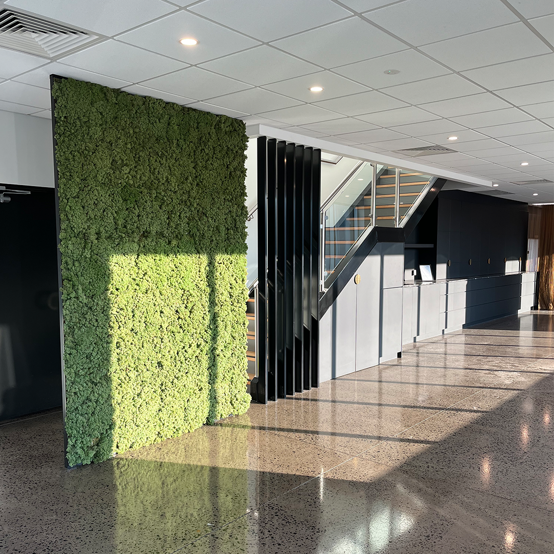 Photo 2-4-2025, 8 48 48 AM (1)